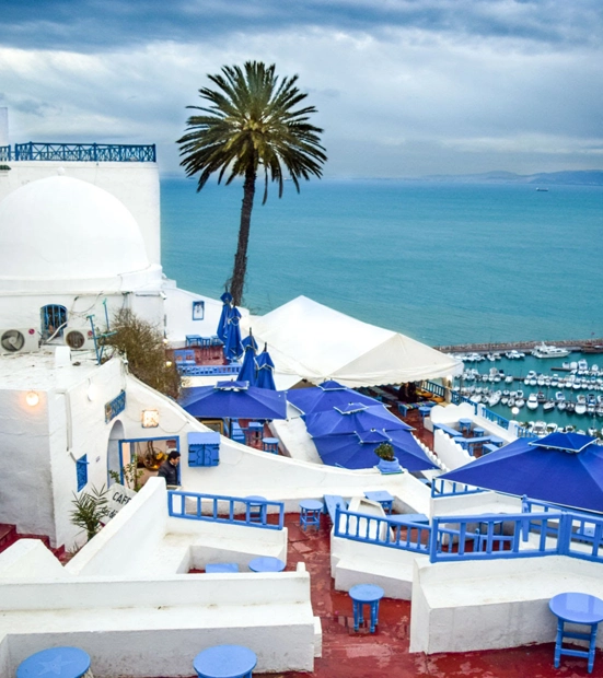 Admirez Sidi Bou Saïd en Tunisie